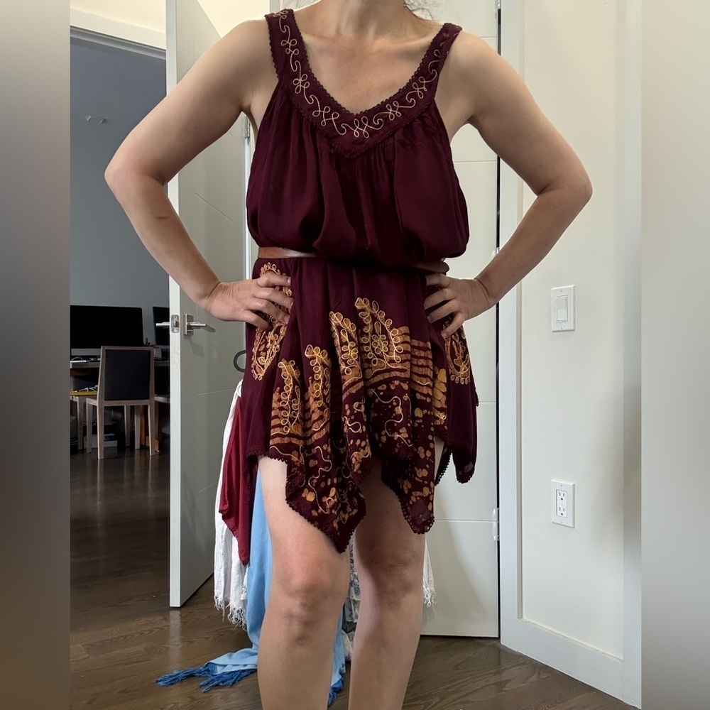 Burgundy and Gold Embroidered Dress - Picture 10 of 16